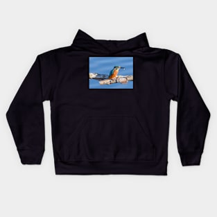 Kingfisher eating its catch Kids Hoodie